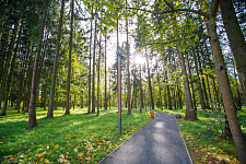 belichiy-park-v-krasnoznamenske-mo-2022-g