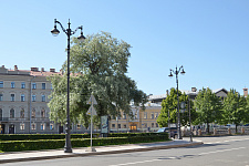 bolshaya-morskaya-sankt-peterburg-2022