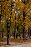 Lantern 3.T54.2.18.V08-02/2
