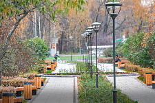 Garden of the Future, Moscow, 2018