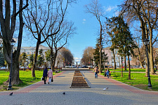 Bryansk, 2019