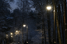 aleksandrino-park-g-sankt-peterburg-2025-g