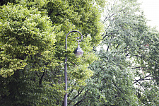 Garden "Olympia", St. Petersburg, 2016
