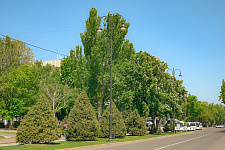 Lanterns, Bishkek, Kyrgyzstan, Government House Square, 2023