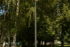 Garden "Neva", St. Petersburg 2025