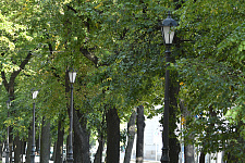 Konnogvardeyskiy b.Saint-Petersburg, 2023