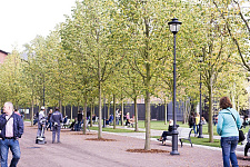 Opening of the New Holland Island in Saint Petersburg