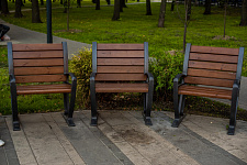 Landscaping lime Park in Moscow, 2018