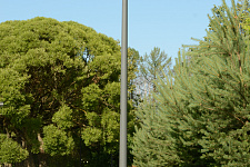 Lyubashinsky Garden, St. Petersburg 2025