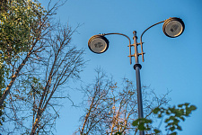 Landscaping lime Park in Moscow, 2018