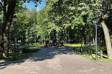 sad-blone-smolensk-2024