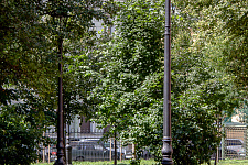 Small Avenue PS 2014