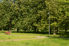 Lyubashinsky Garden, St. Petersburg 2025