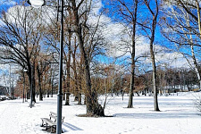 Archangelskoe, 2021