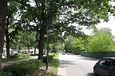 beautification of the city of Vyborg, 2018
