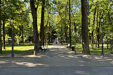sad-blone-smolensk-2024