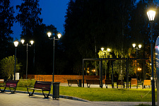 Apple Orchard, Vyborg, 2024
