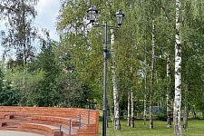 Apple Orchard, Vyborg, 2024