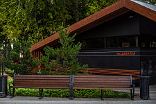 Landscaping lime Park in Moscow, 2018