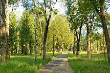 Nameless garden on the corner of Revolution Highway and Kommuny Street, St. Petersburg 2024