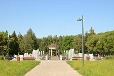 Lyubashinsky Garden, St. Petersburg 2025