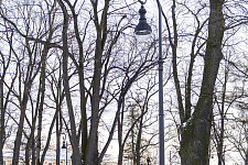 "Rumyantsev Garden" in St. Petersburg
