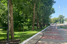 Penza, 2021