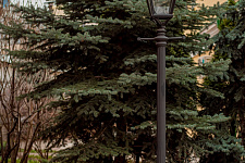 Conception Convent, Moscow, 2020