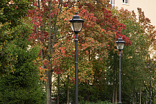 Vyborg Garden, 2019