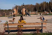 kottedzhnye-poselki-eli-elizarovo-darino-park-mkottedzhnye-poselki-v-istrinskom-rayone-mo-2024-2025-
