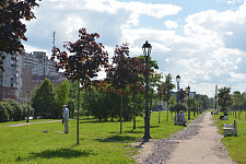Park on the coastal street in St. Petersburg
