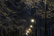 aleksandrino-park-g-sankt-peterburg-2025-g
