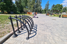 Apple Orchard, Vyborg, 2024