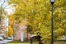 Schemilovskiy Park, Moscow. 2017