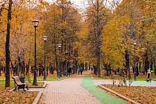 Park "Maiden's Field" in Moscow, 2017