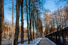 Central City Park, Korolev, 2020