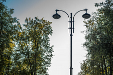 Landscaping lime Park in Moscow, 2018