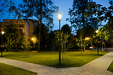 Apple Orchard, Vyborg, 2024