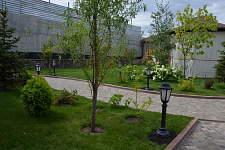 Landscaping in a private home in Almaty, Kazakhstan