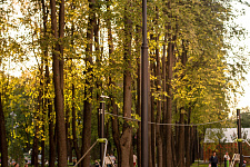 Landscaping lime Park in Moscow, 2018