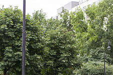 Garden "Olympia", St. Petersburg, 2016