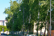 Alley Friends, Novosibirsk. 2020