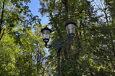 sad-blone-smolensk-2024