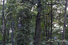 Park named Vorovskogo, 2012 Moscow