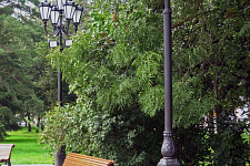 Landscaping the park area, Veliky Novgorod
