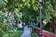 Accomplishment of the Donskoy Monastery in Moscow, 2016, 2020